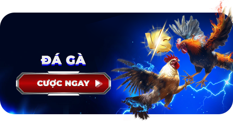 đá gà aw8