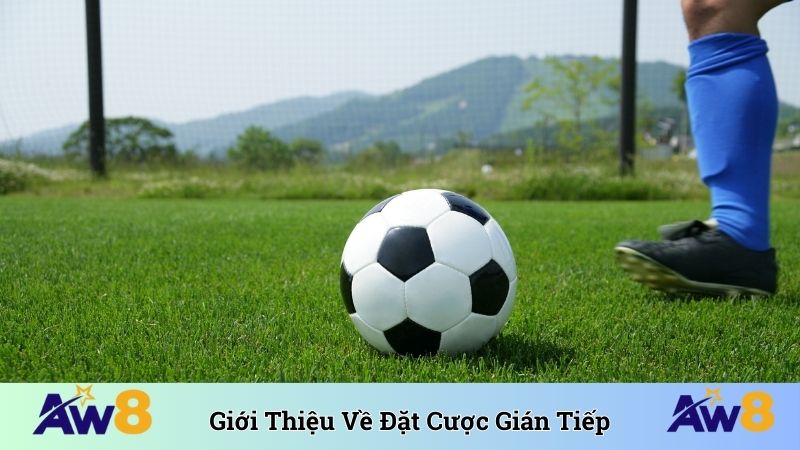 Cược Gián Tiếp - AW8 Cùng Bet Thủ Khám Phá Kèo Thơm Giới thiệu về đặt cược gián tiếp